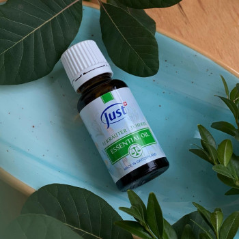Композиція ефірних олій 31 HERBS / 31 ТРАВА JUST (Швейцарія) 20 мл