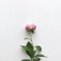 item-1