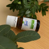 Ефірна олія Чайне дерево/розаліна/ манука / TEA TREE 10 мл JUST (Швейцарія)